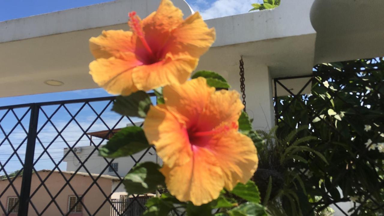 Apartment Liza, Privada De Flor De Lis House